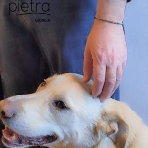 მორზეს ანბანით სამაჯური თოკზე